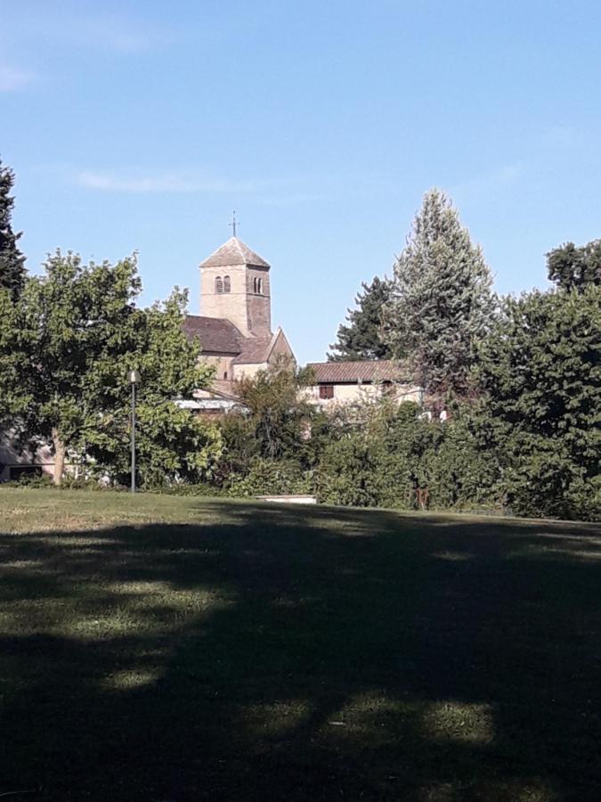 Les Saugeys Daire Mâcon Dış mekan fotoğraf