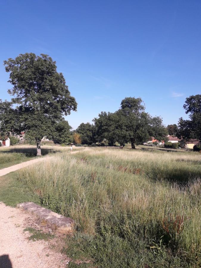 Les Saugeys Daire Mâcon Dış mekan fotoğraf
